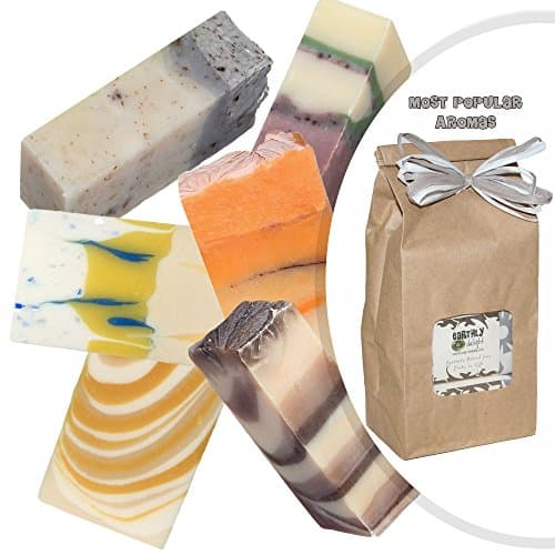 SOAP SAMPLER GIFT SET - Six 2.75 Oz Bars. - All Vegan Ingredients - Skin Health - Eco Friendly - Non Toxic - Cleaner Skin - No Soap Residue - Gift Wrapped - Organic Palm Oil - Most Popular
