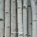 Six Thin White Birch Poles 8 ft