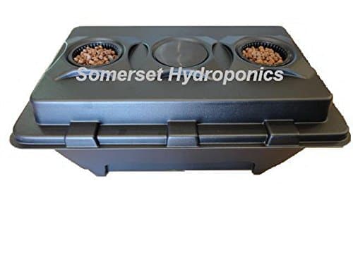 XL DWC Hydroponic Growing System