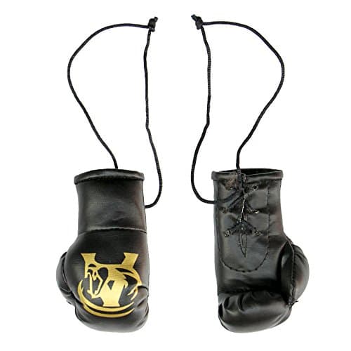 Boxing Car Mirror Hanging Boxing Gloves