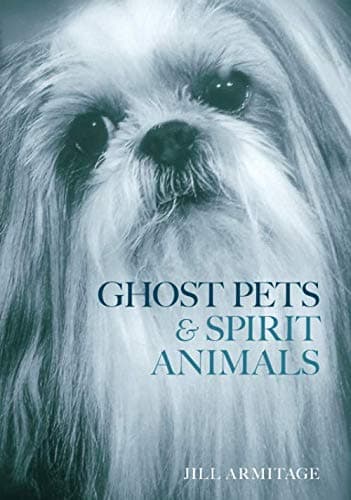 Ghost Pets and Spirit Animals