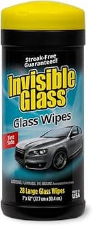 90166 Large Glass Cleaning Wipes for Streak-Free Windows, Mirrors, and Glass, Lint-Free, Ammonia-Free, Tint-Safe, for Home and Auto, Canister, 28 Wipes, Pack of 1