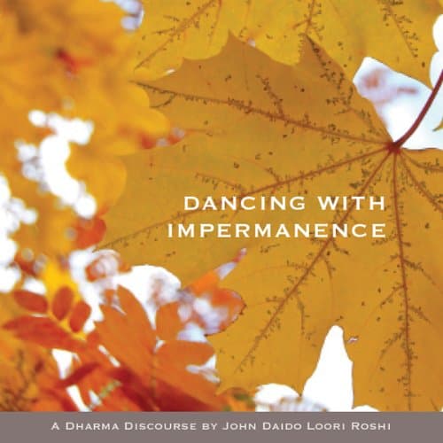 Dancing with Impermanence: Yunyan's This Is It