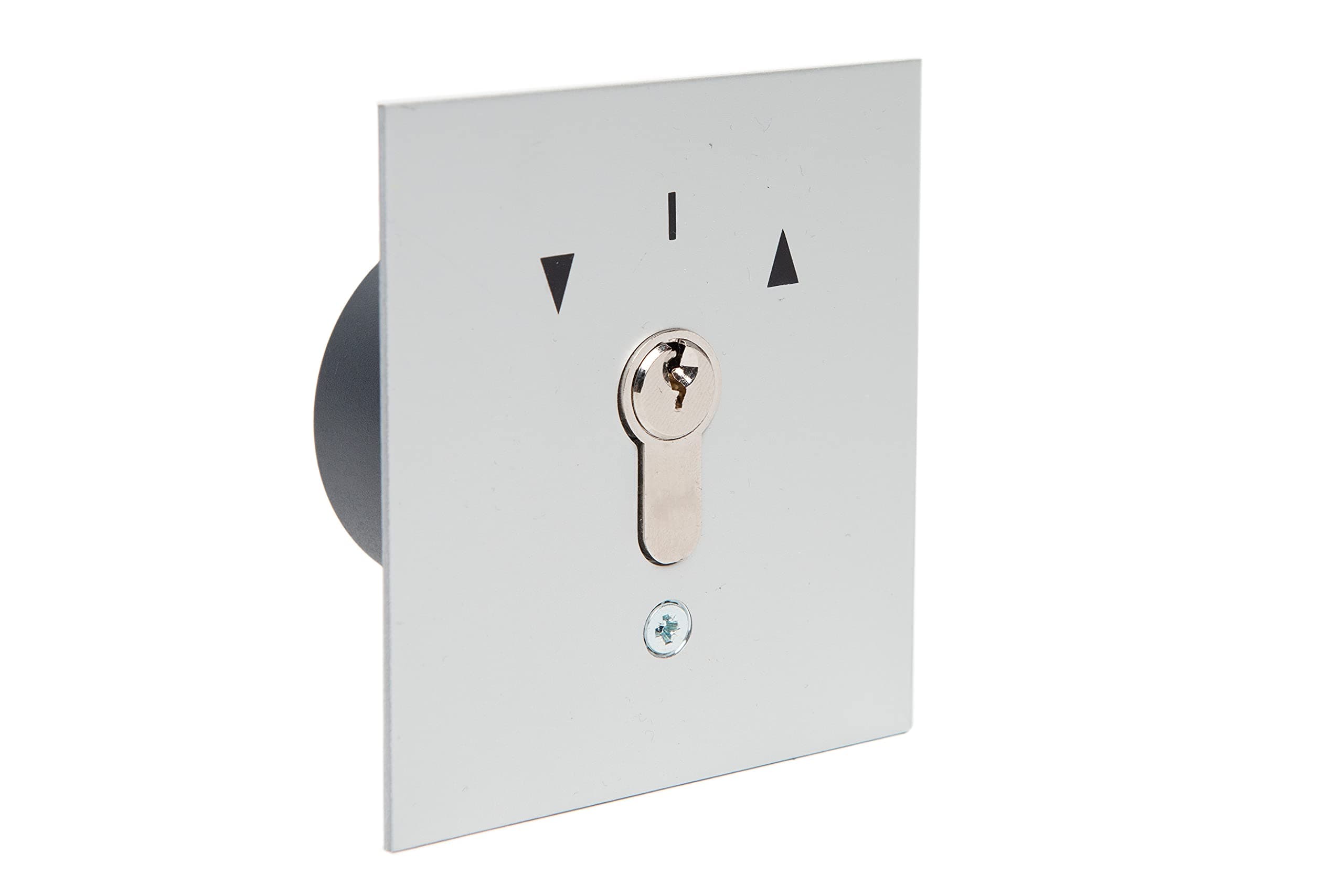 geba Garage Door Key Button Flush-mounted 2-sided Push Button US 1-2T/1 121.1301.1A, incl. DIN profile half cylinder and 3 keys, burglary resistant (European patented system), grey/anodised aluminium