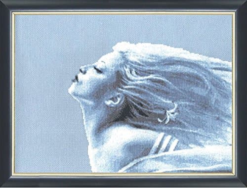 Cross Stitch Kit Wind of changes