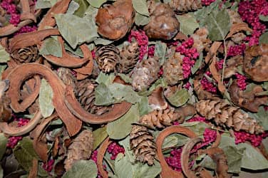 Mulberry Potpourri