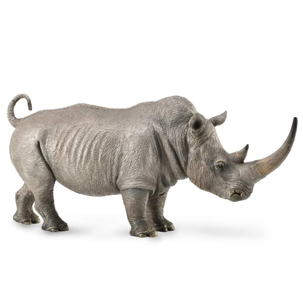 White Rhinoceros