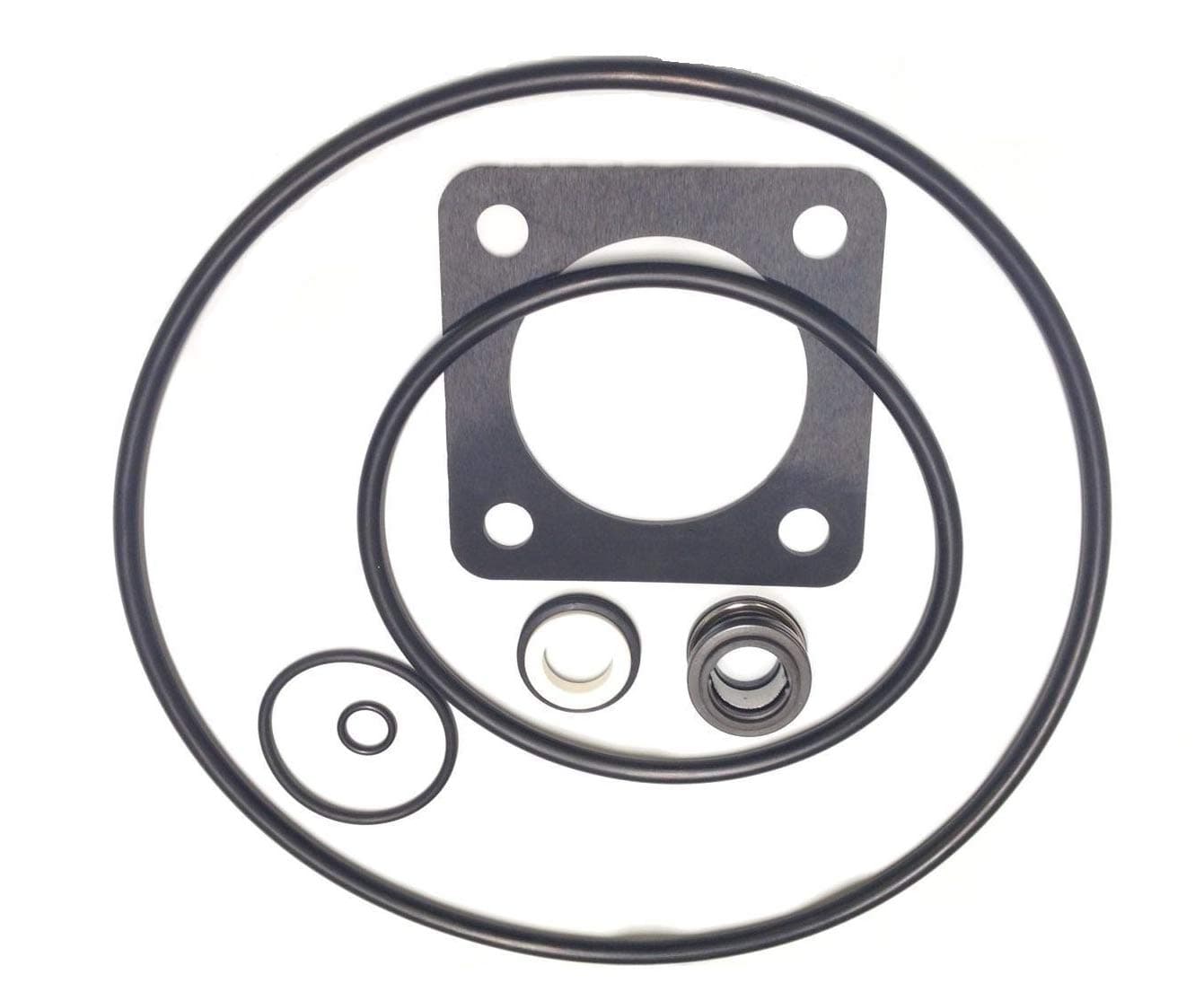 Southeastern AccessoryO-Ring Rebuild Kit (Pre 1998) for Sta-Rite P2RA & P2R Dura-Glas/MaxeGlas Pump Repair Kit 6