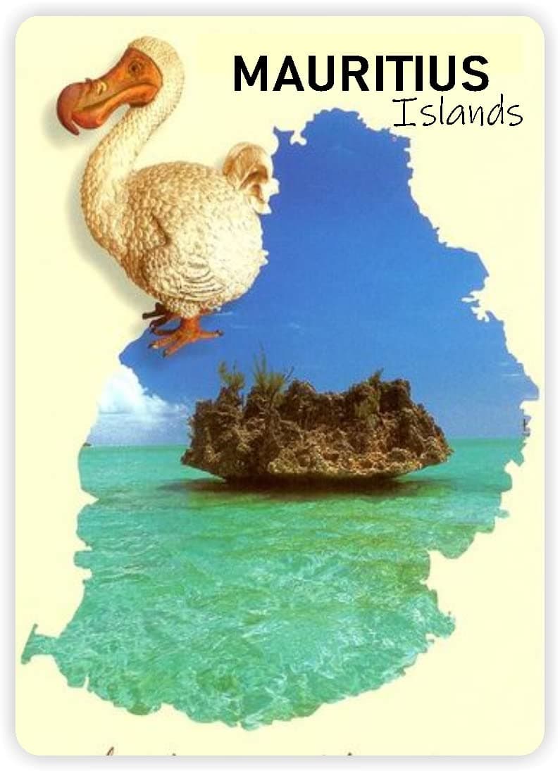 MAURITIUS ISLANDS : FRIDGE MANET