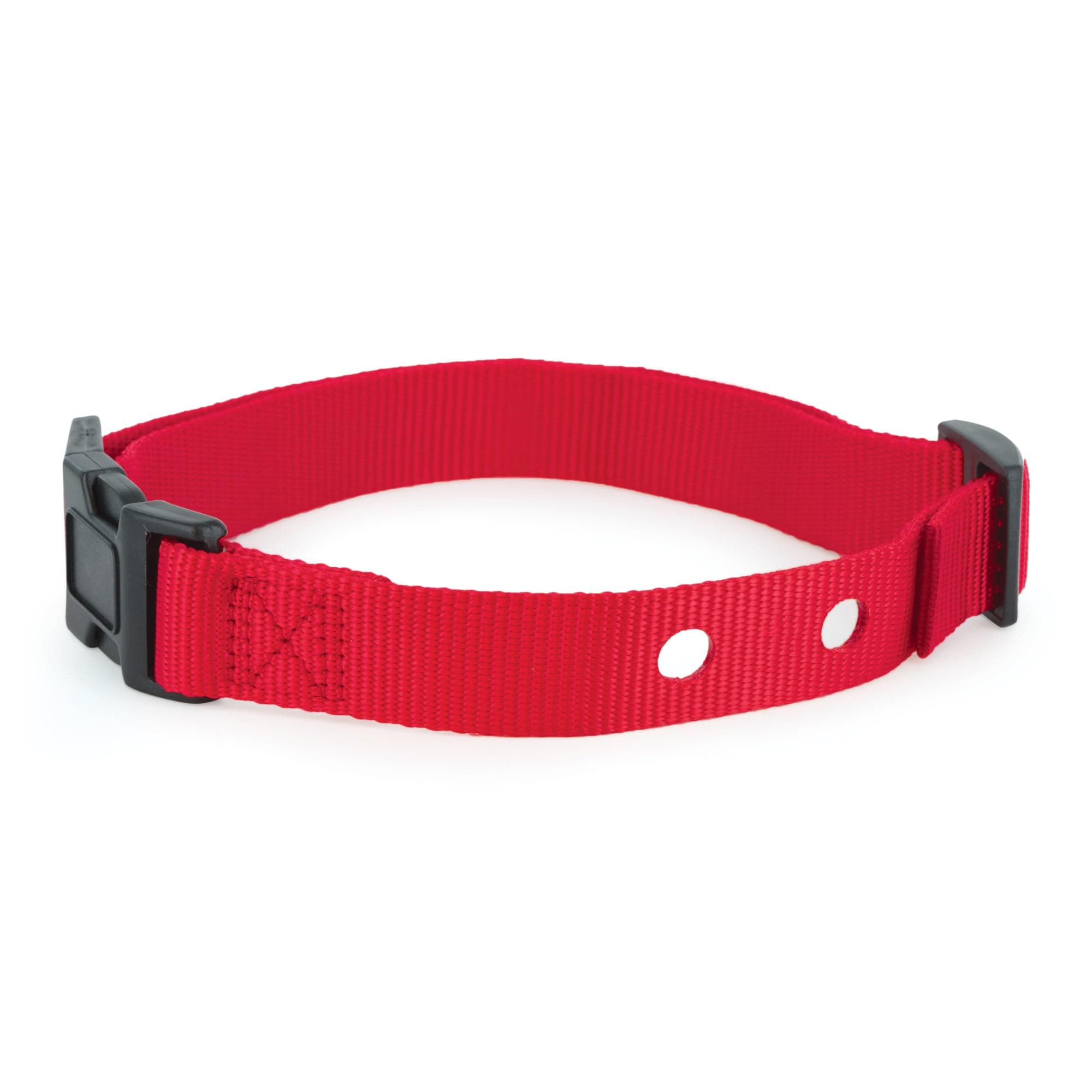 Replacement Collar Strap with 2 Holes - Adjustable Design for In-Ground & Wireless Fence Collars - Lightweight Polyester - Secure, Comfortable Fit
