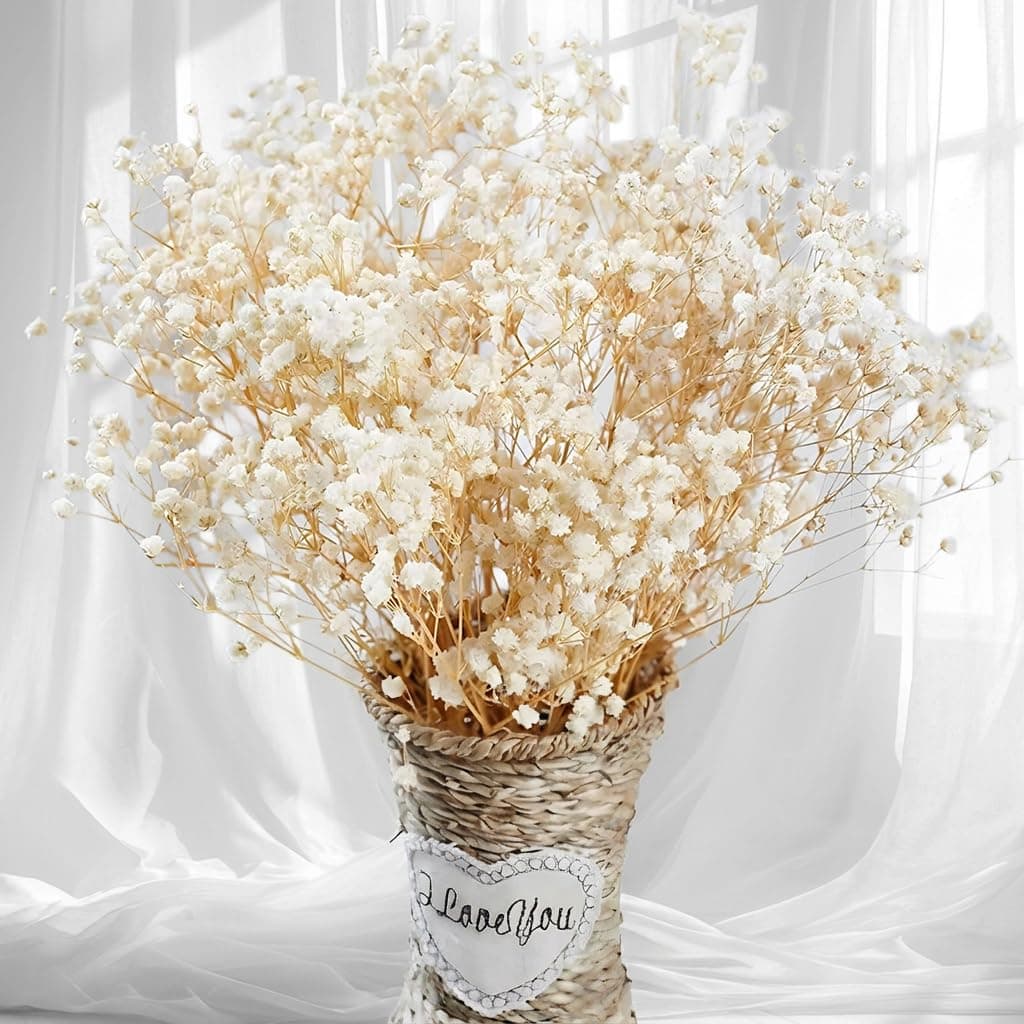 Dried-Babys-Breath-Flowers