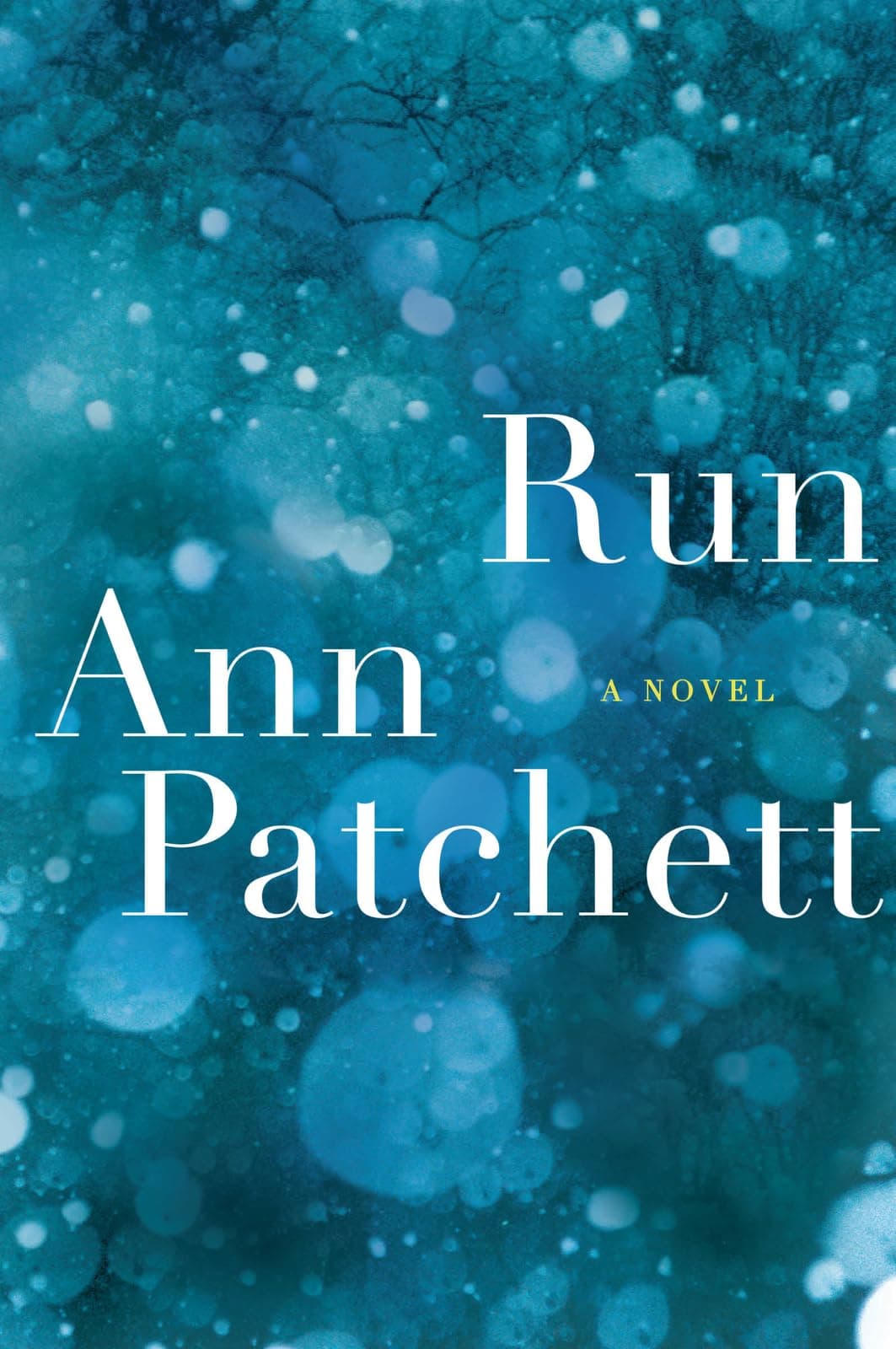 Run: A Novel
