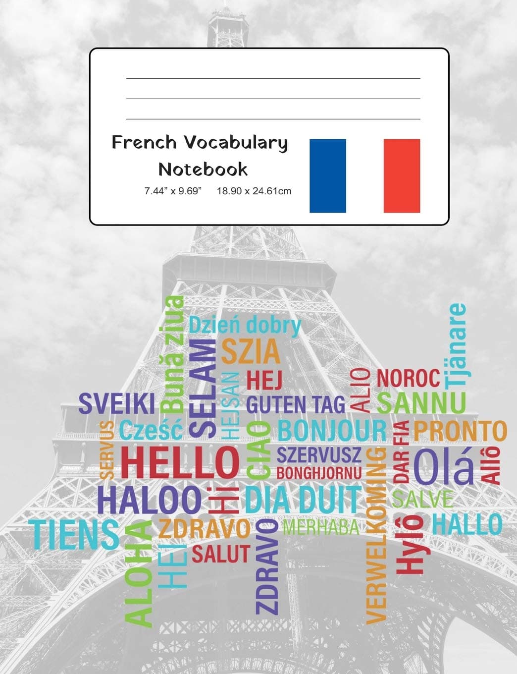 French Vocabulary Notebook: Split page layout for easy and consistent notation and revision of French language vocabulary items (Foreign Language Study Vocabulary Notebooks)