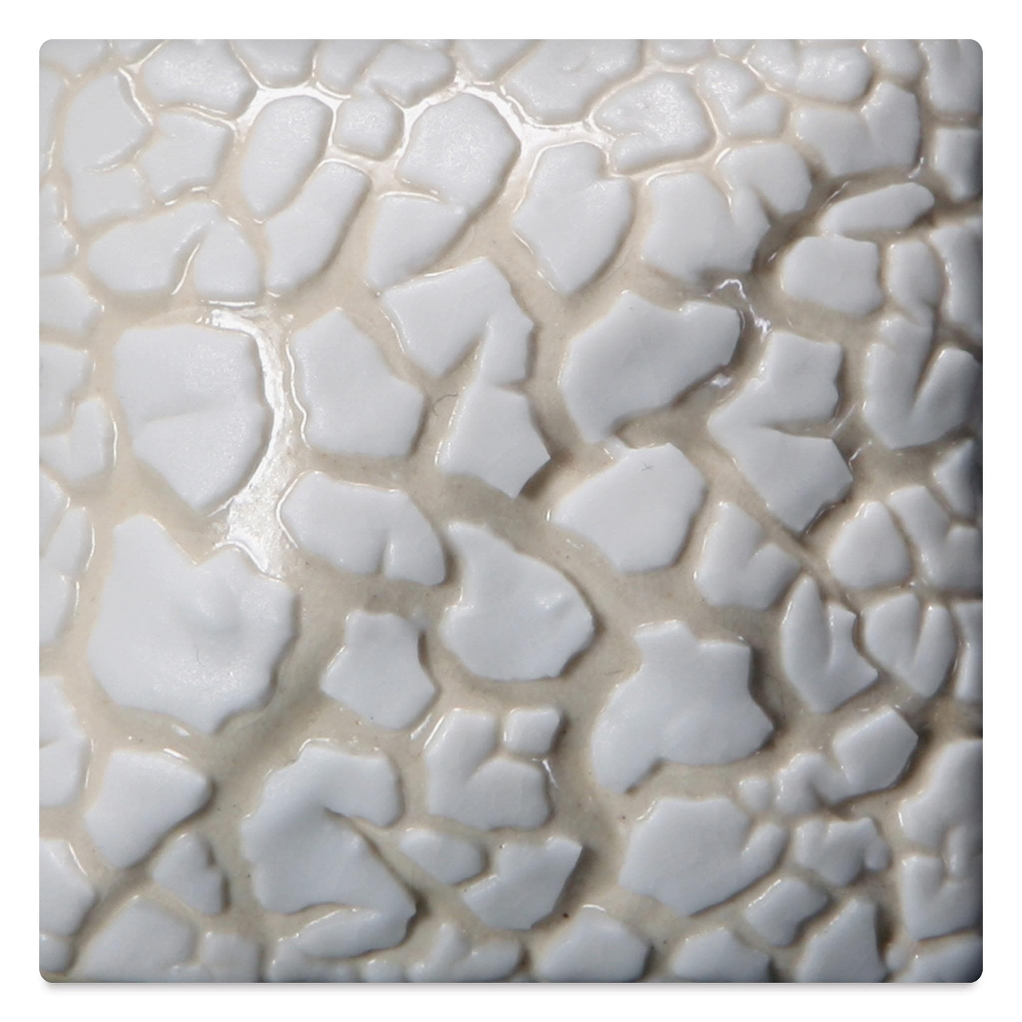 Stoneware Mudcrack Glaze - White, Pint