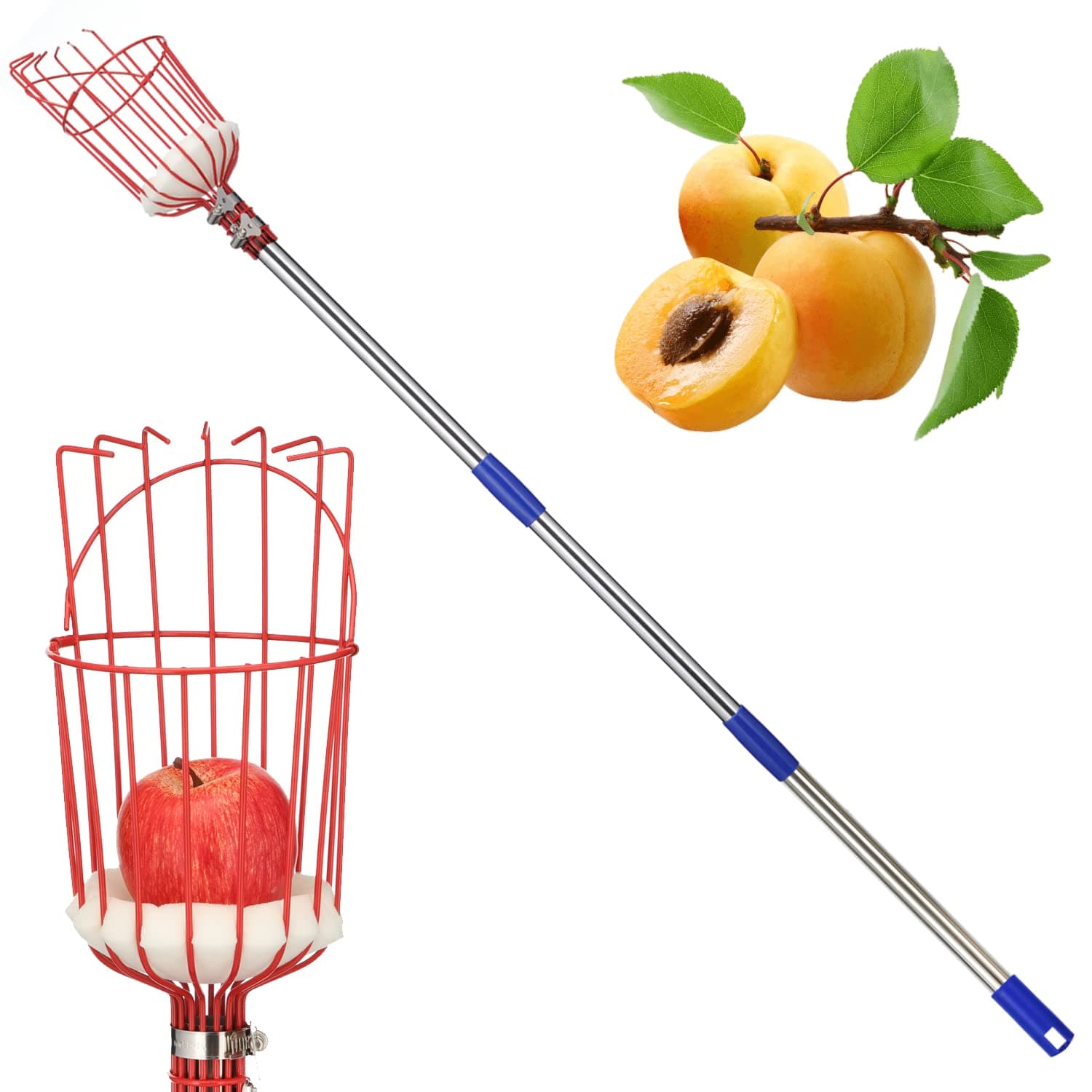 Fruit Picker Tool, 13 Ft Extendable Pole with Basket for Fruit Picker, High Reach Stainless Steel Fruit Picking Tool for Apple, Orange, Citrus, Pear, Mango from Trees, Easy Install and High Reach