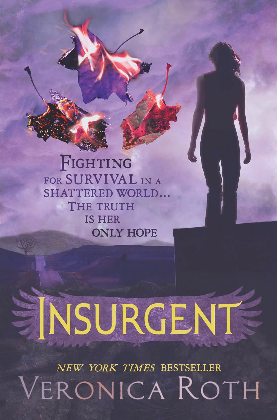 Insurgent Paperback – 1 May 2012