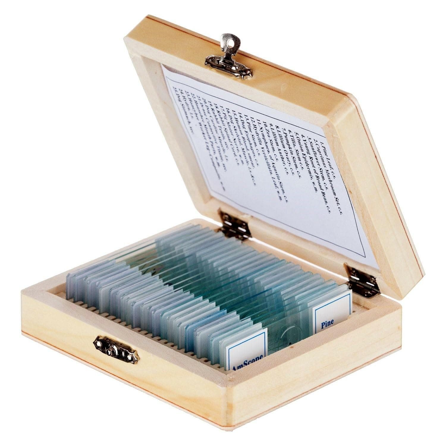 Prepared Microscope Slide Set for Basic Biological Science Education, 25 Slides