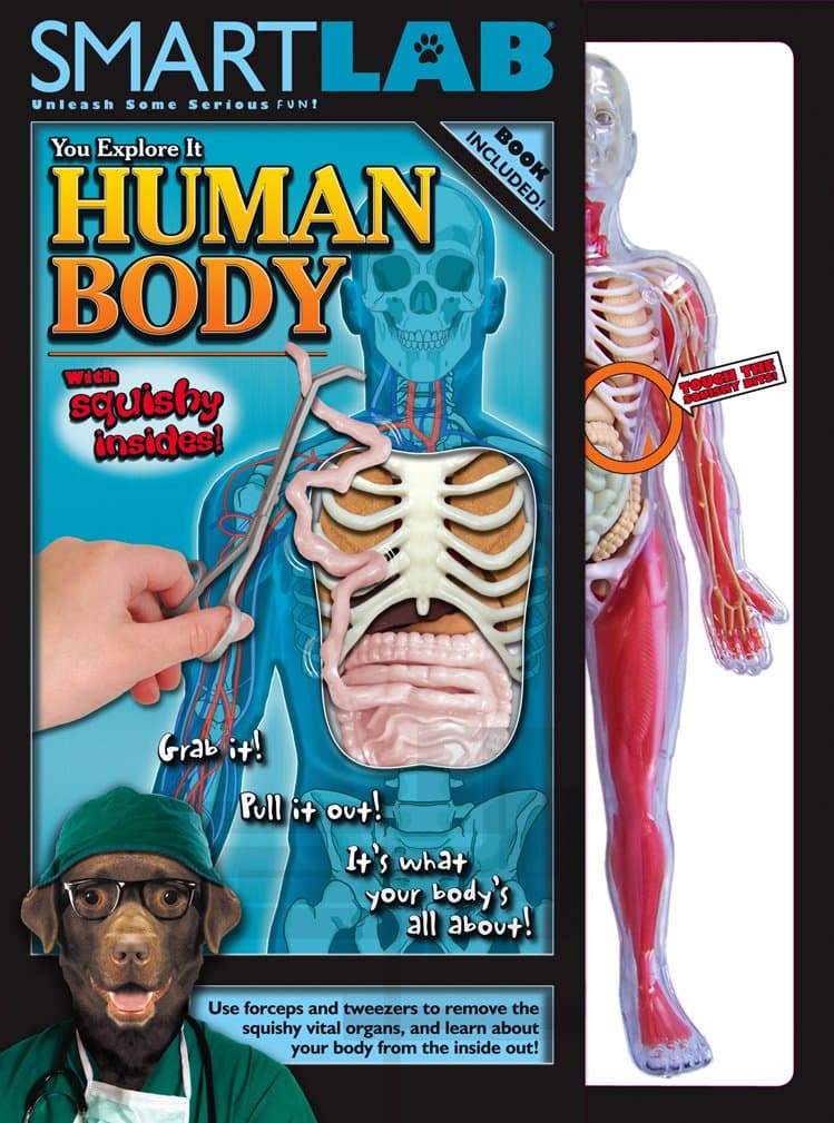 Smart Lab You Explore It: Human Body Model