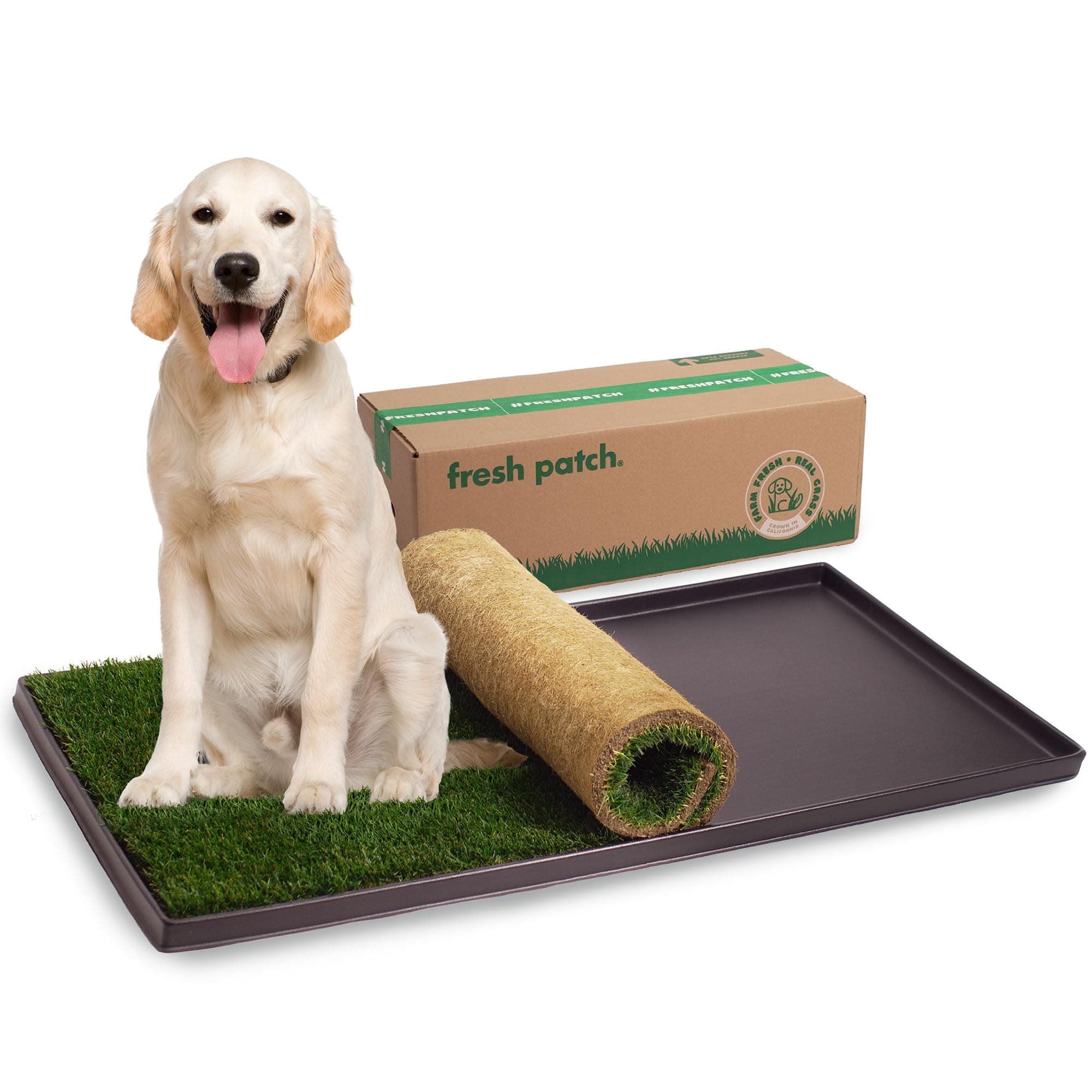Fresh Patch Real Grass Patch for Dogs, Cats, and Extra Large Pets 30 Pounds and Above – Disposable Pet Grass Pee Pads with Tray – Indoor and Outdoor Potty Training Mat (24 Inches x 48 Inches)