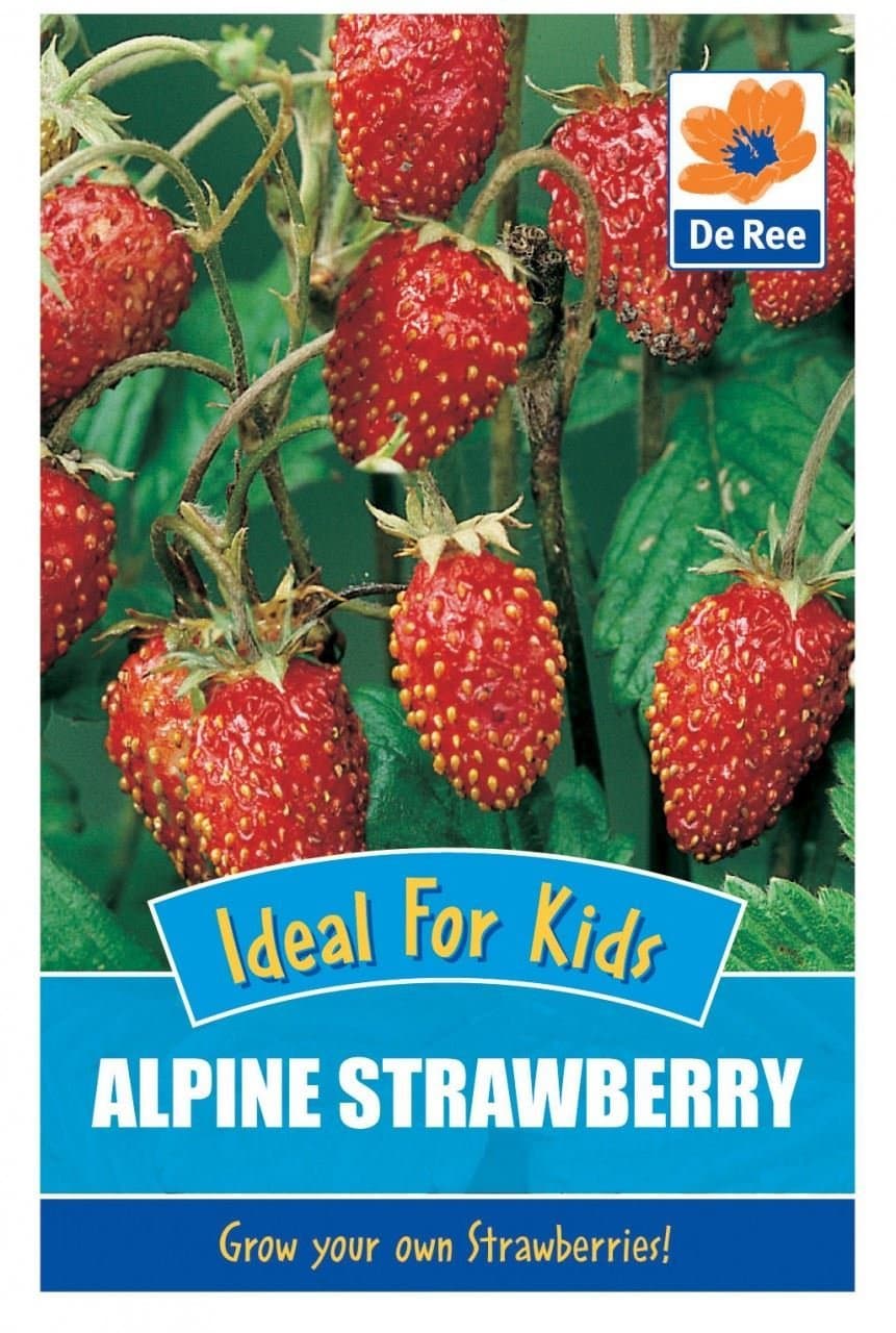 De Ree Alpine Strawberry Seeds