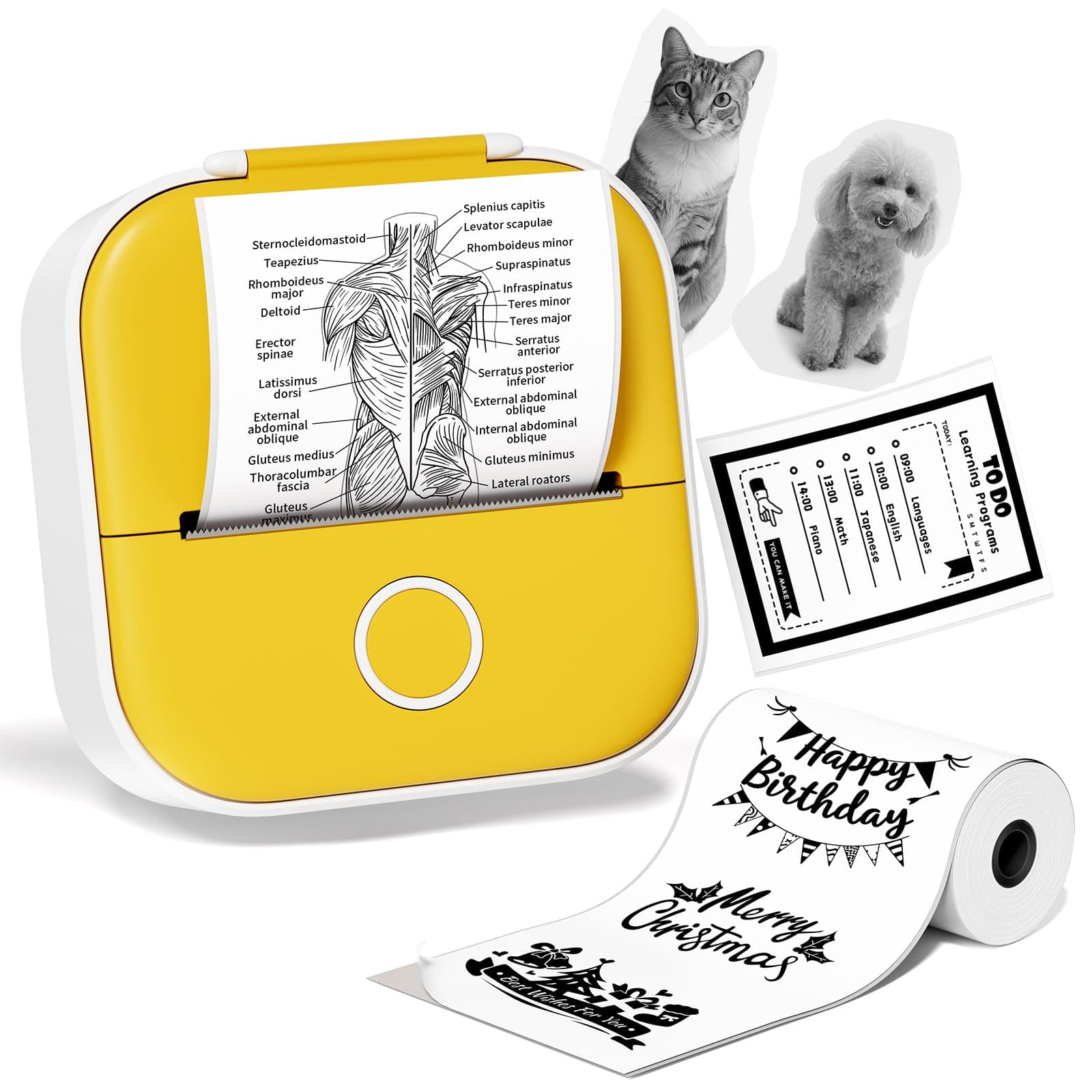 Mini Sticker Printer, T02 Print Pods Mini Printer, Sticker Maker Machine with 1 Roll Paper, Bluetooth Thermal Inkness Sticky Note Maker for Sticky Scrapbook, Journal, Note, Diagrams