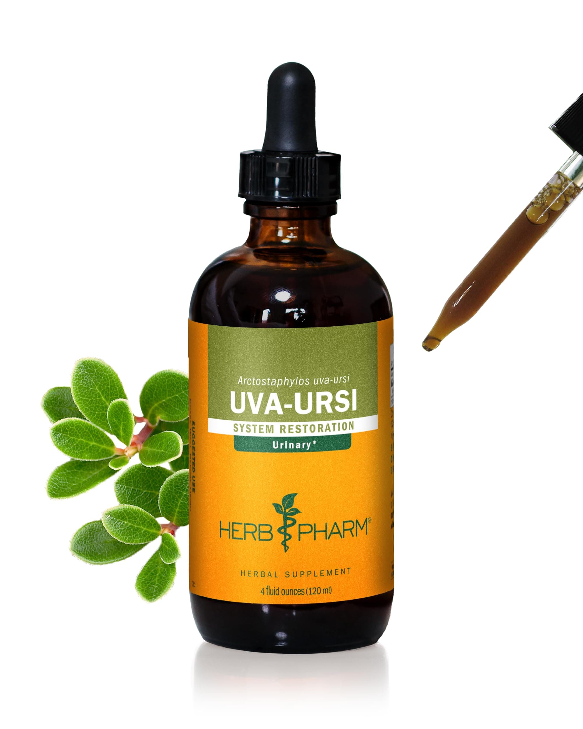 Herb Pharm Uva Ursi Liquid Extract for Urinary System Support - 4 Ounce