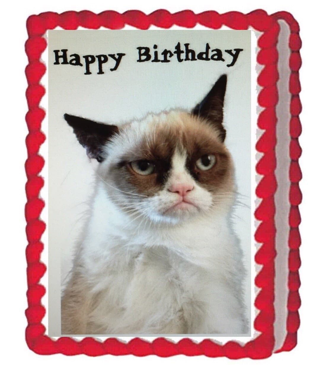 Grumpy Cat Edible Cake Image Topper 1/4 Sheet Decoration Birthday Party