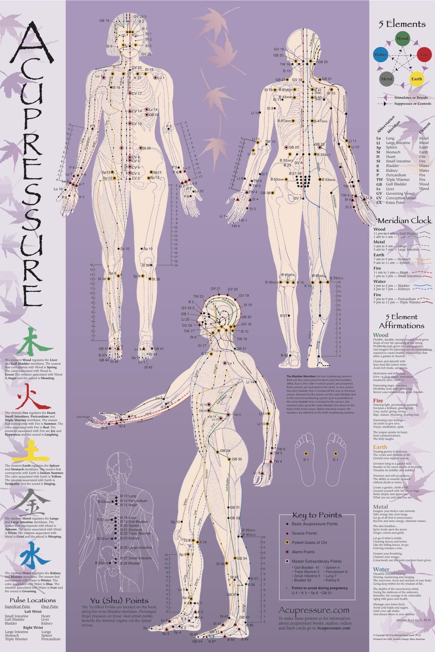 Acupressure Chart - Points & Meridians