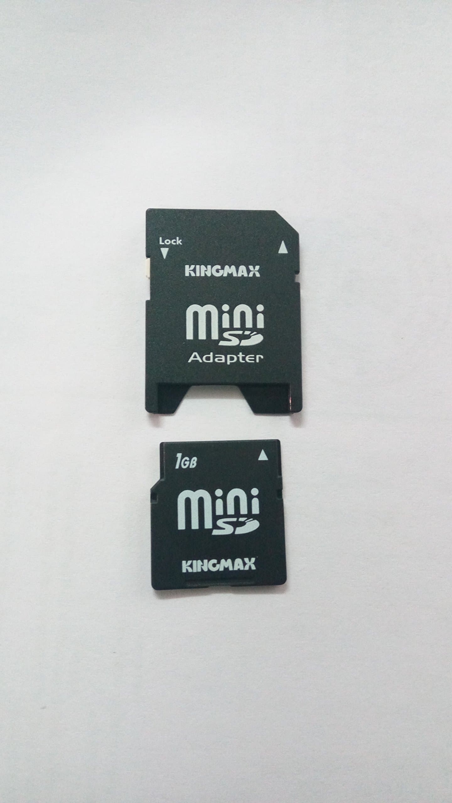 1GB MiniSD Card