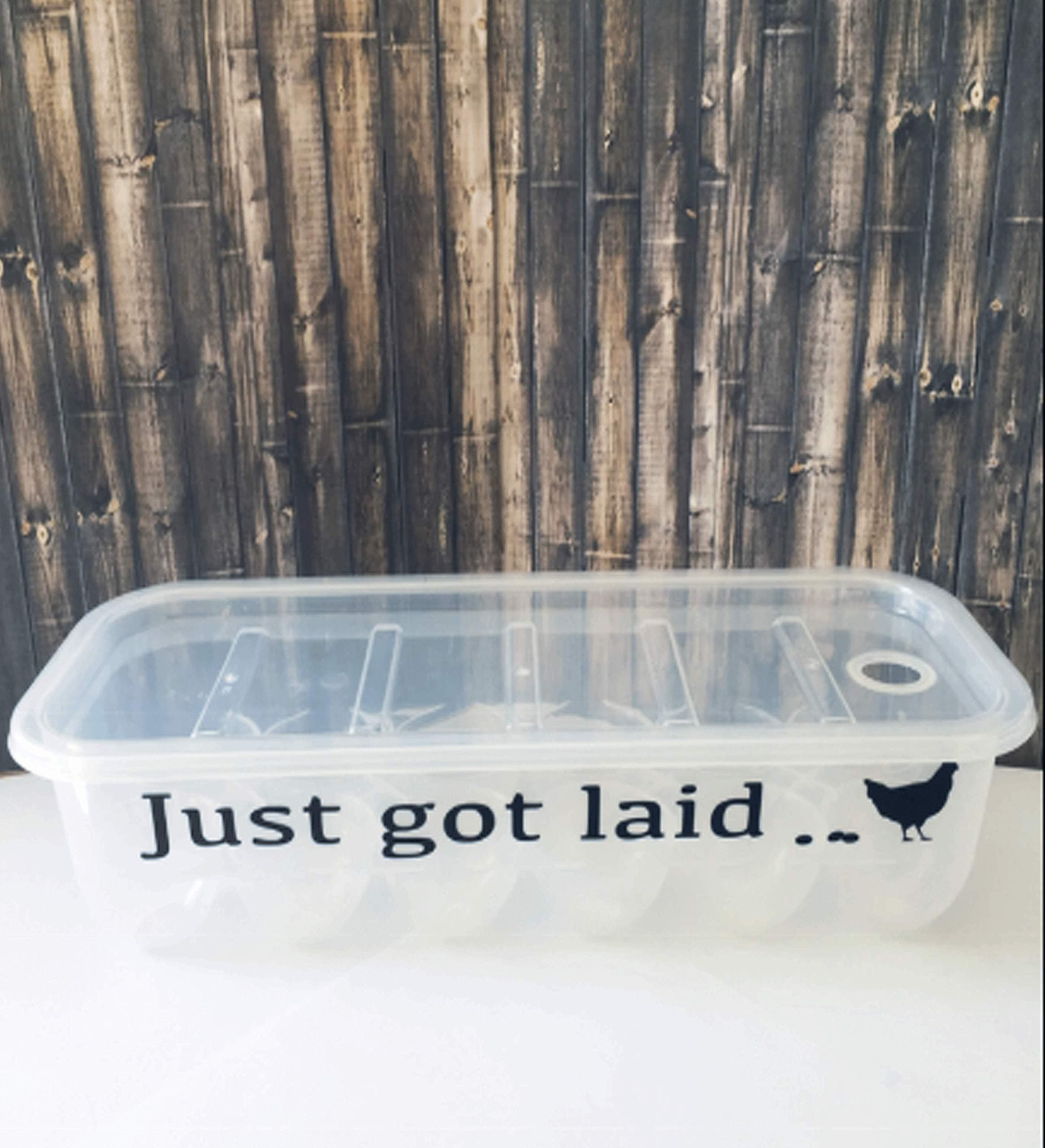 Plastic Egg Storage Containers with Lids and Custom Messages designed to make you smile! Great Gift! (Just Got Laid)