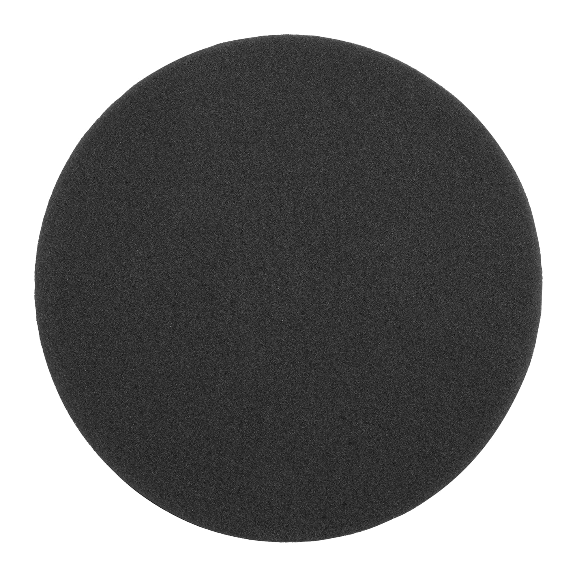 RAKSCRUBF Sponge Brush (Single)