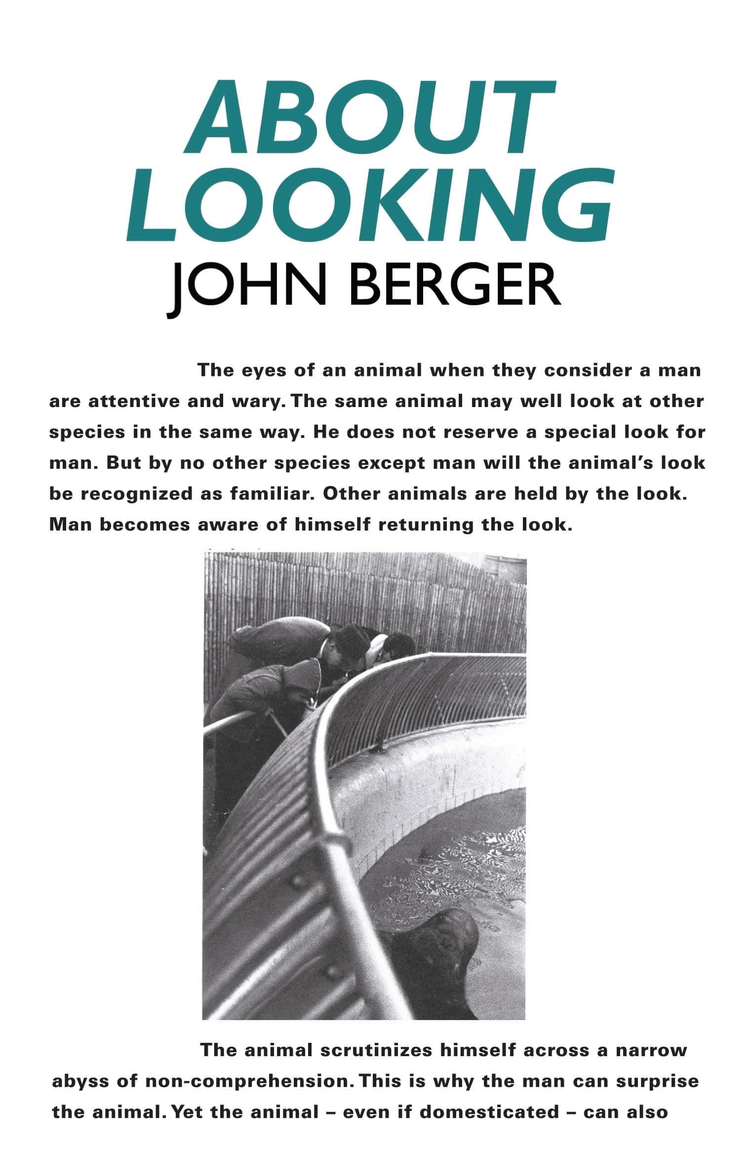 About Looking Paperback – 20 April 2009
