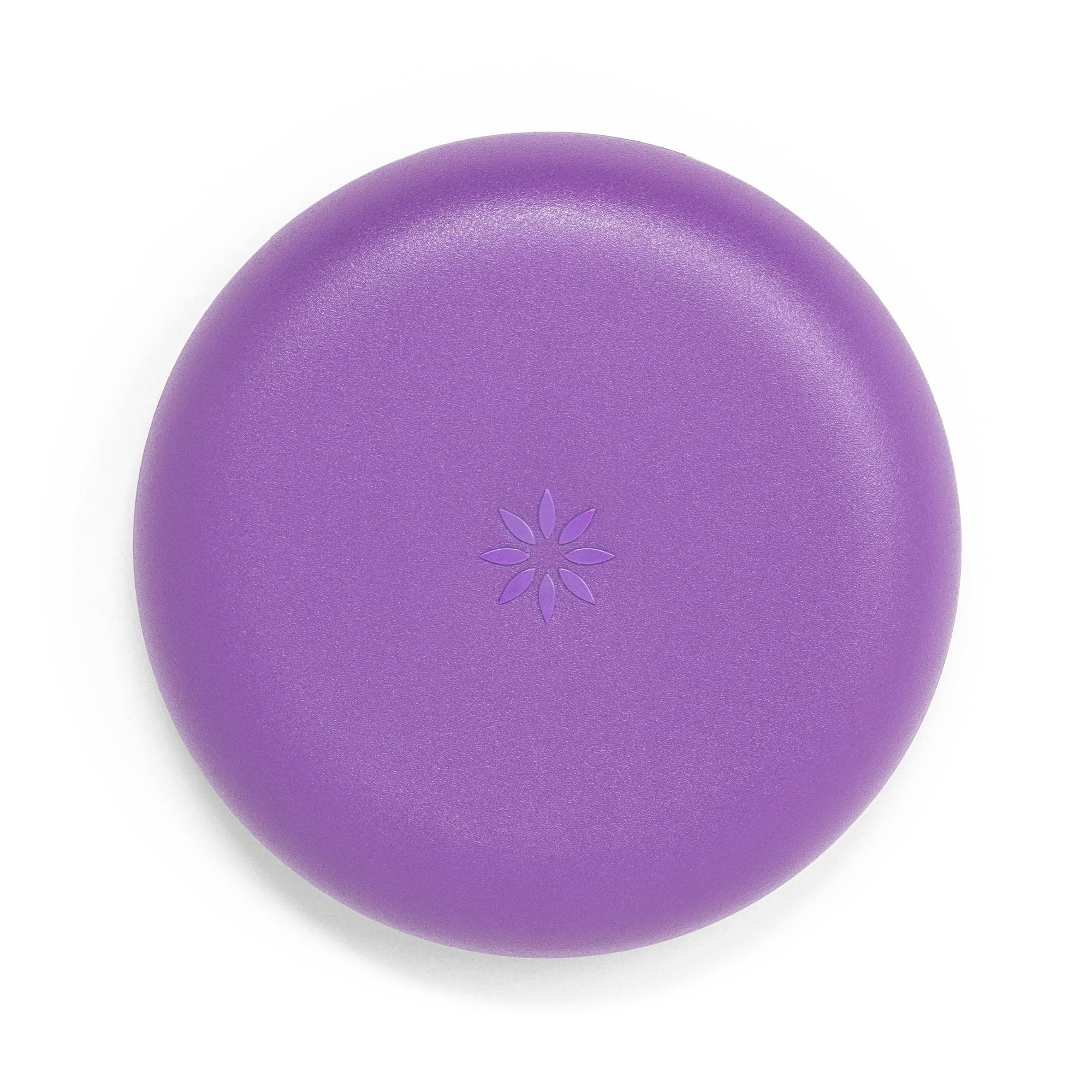 Aligner and Retainer Case, Purple