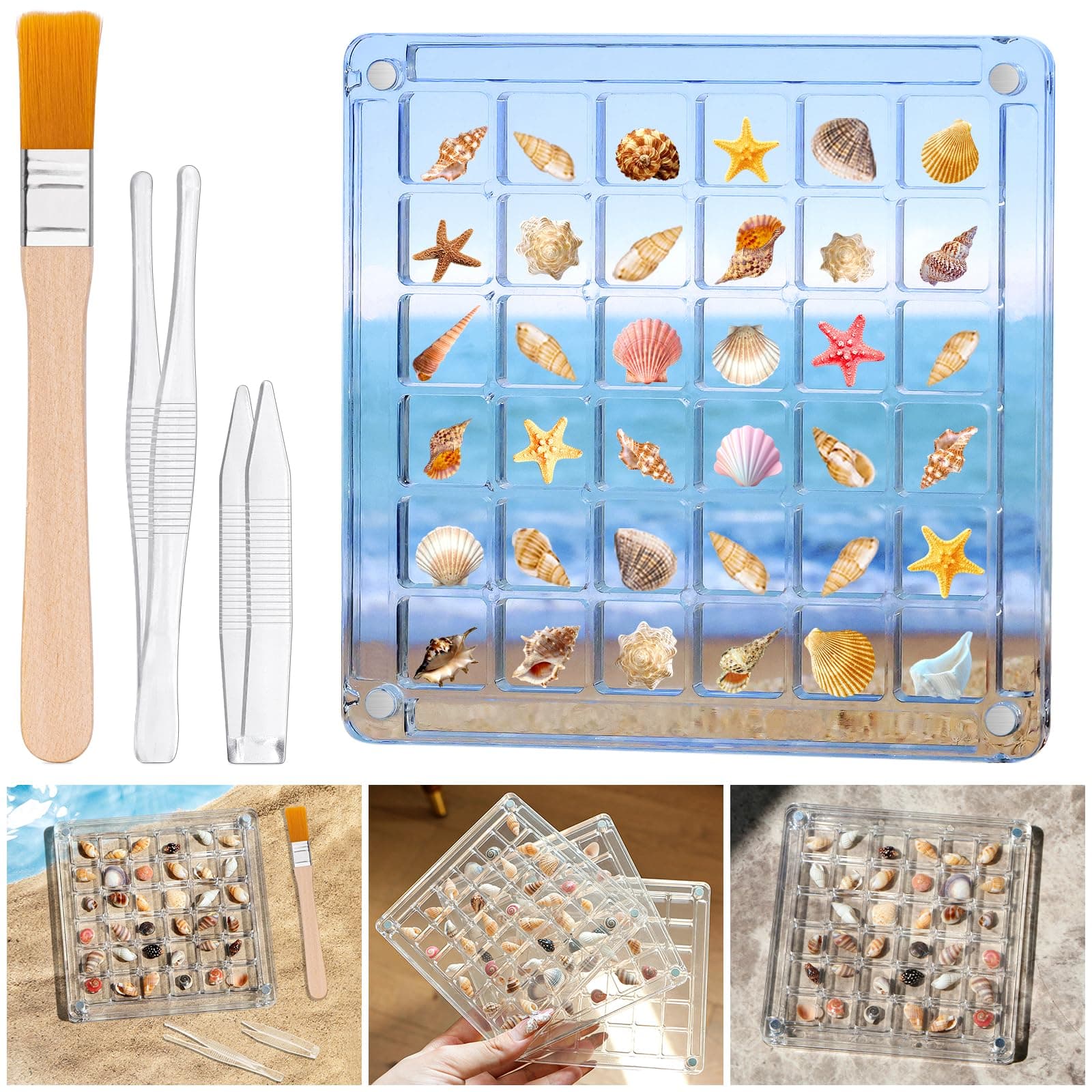 Seashell Display Box – 36 Grid Clear Acrylic Shell Holder & Organizer Case with Magnetic Lid for Sea Shell Collection, Crystals & Mini Collectibles