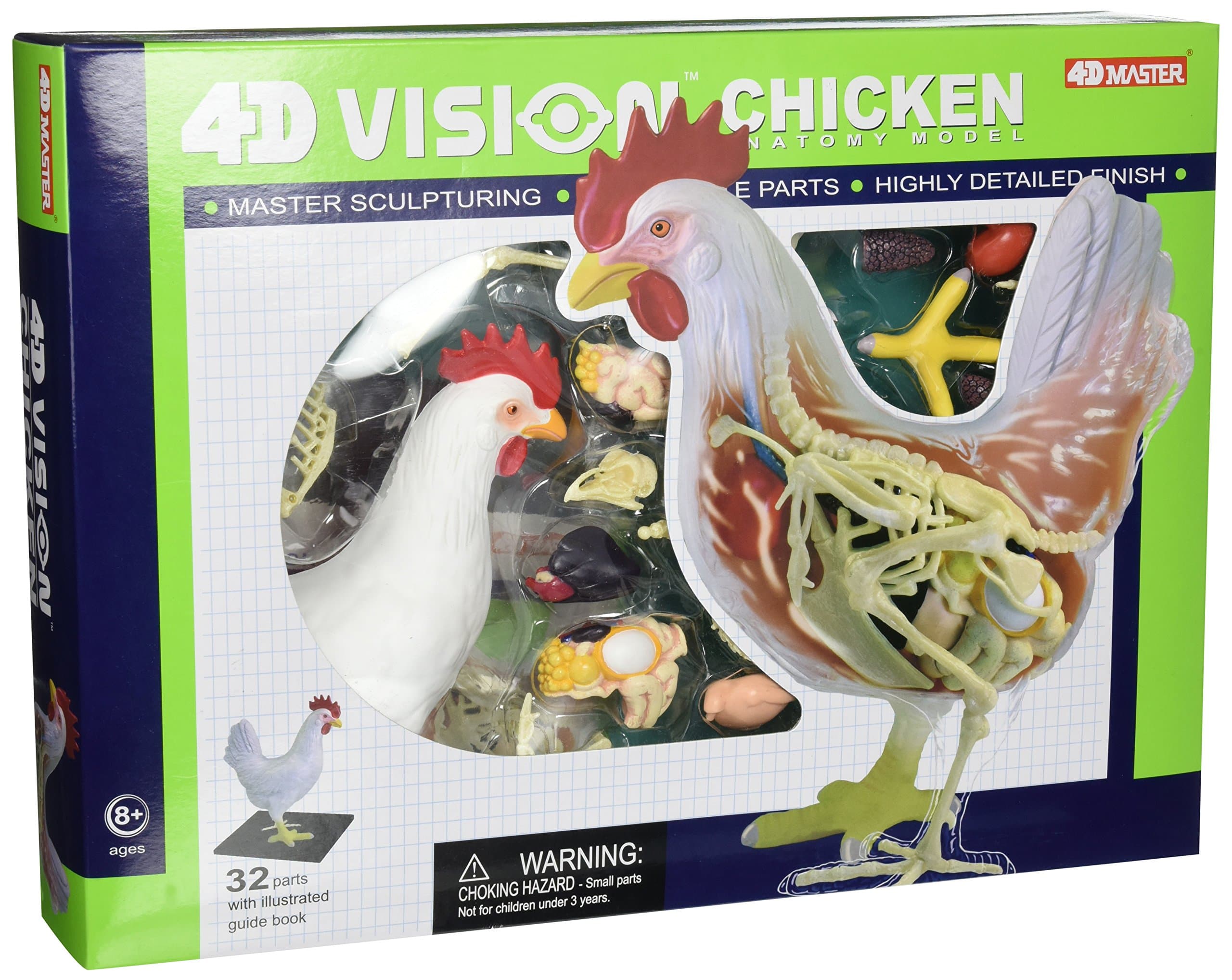 Tedco 4D Vision Chicken Anatomy Model