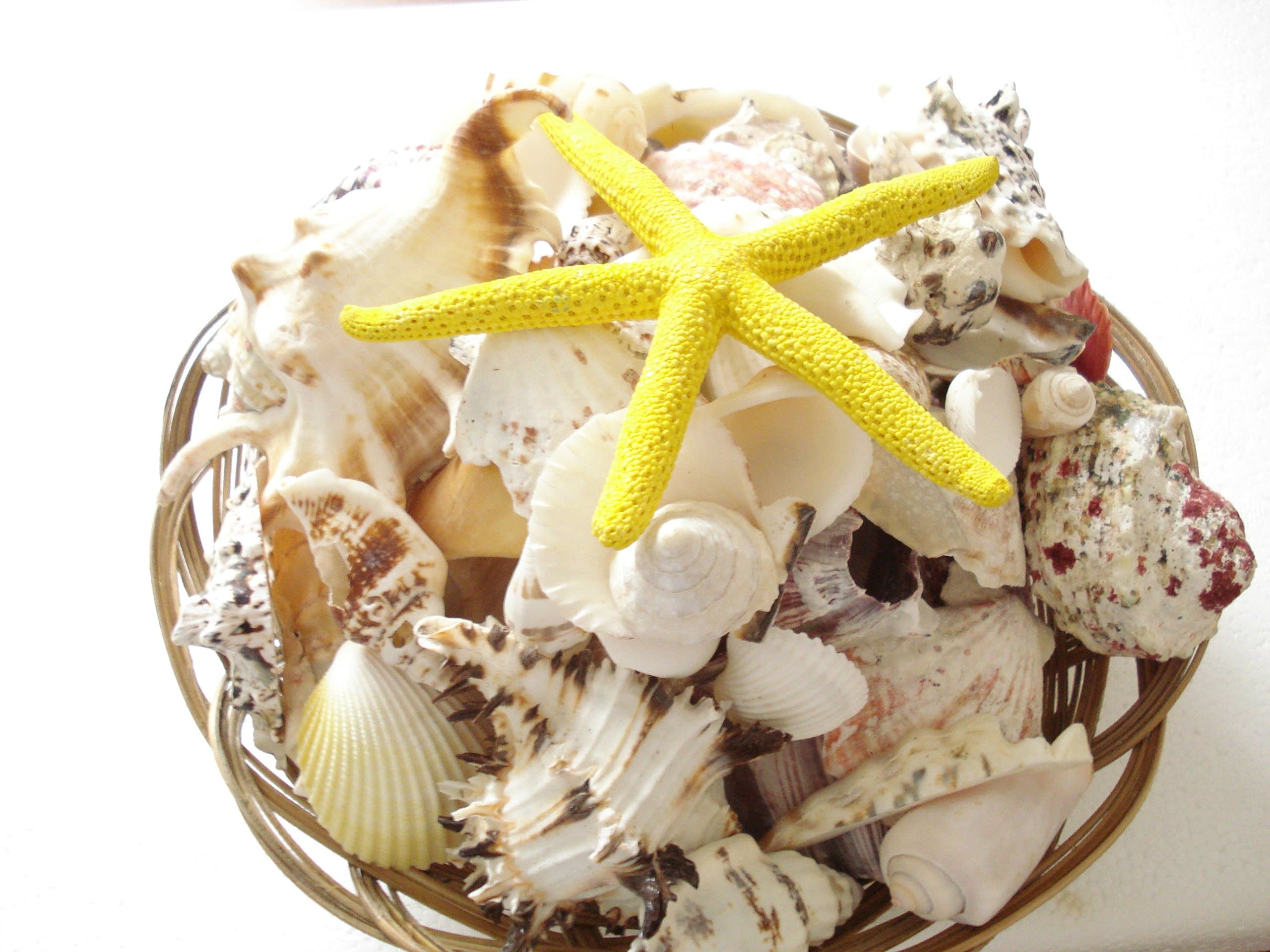 Newest [2018 SUPERHUMAN CHIP] Bark Collar with Smart Detection Module - Best Dog Shock, Beep Anti-Barking Collar. No Bark Control for Small/Medium/Large Dogs - Stop Barking Safe Humane