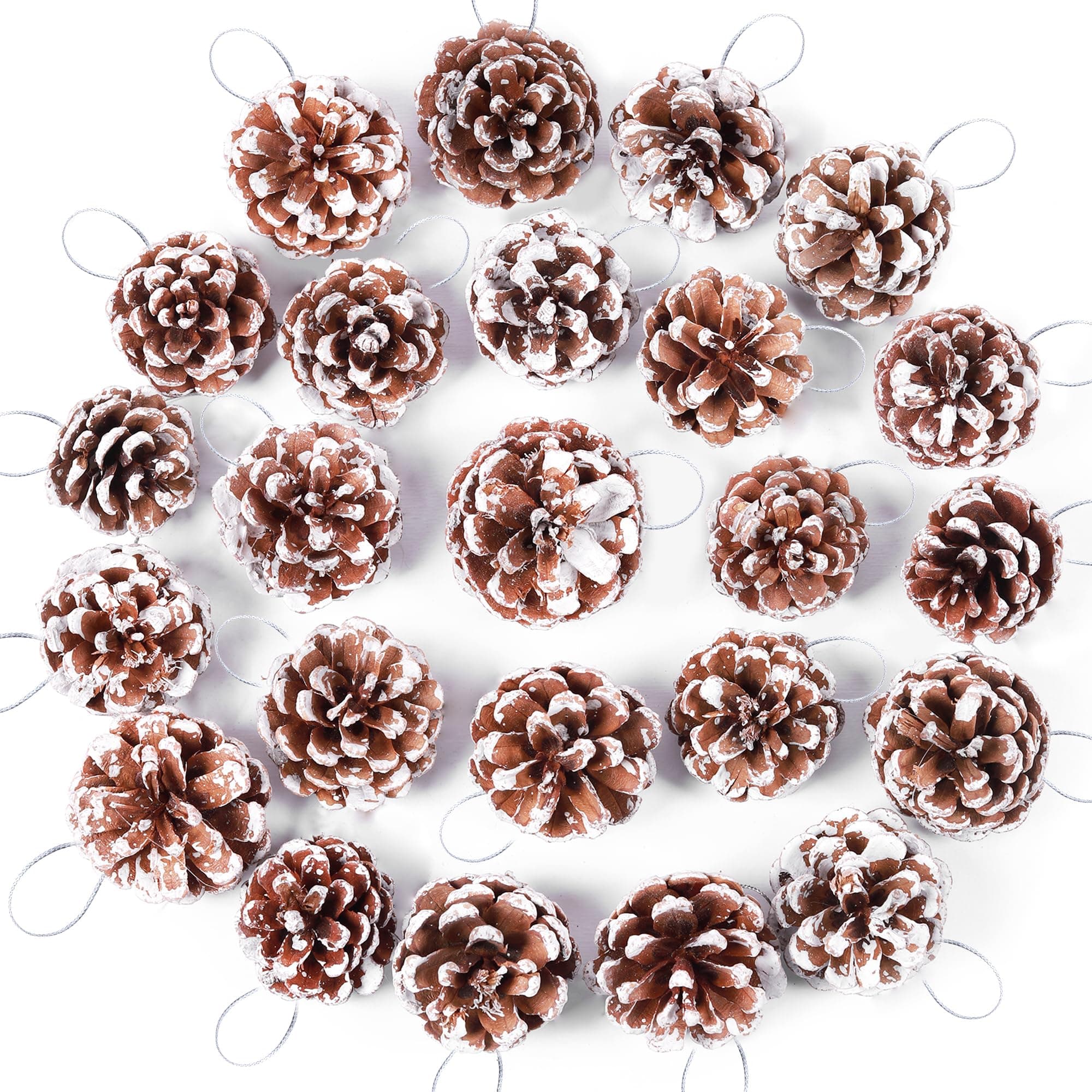 HCSSZ 24pcs Christmas Pine Cones, Natural Hanging Snow Pinecones with string, Festival Holiday Ornaments for DIY Crafts Home Xmas Tree Winter Wreath Garland Wedding Decorations
