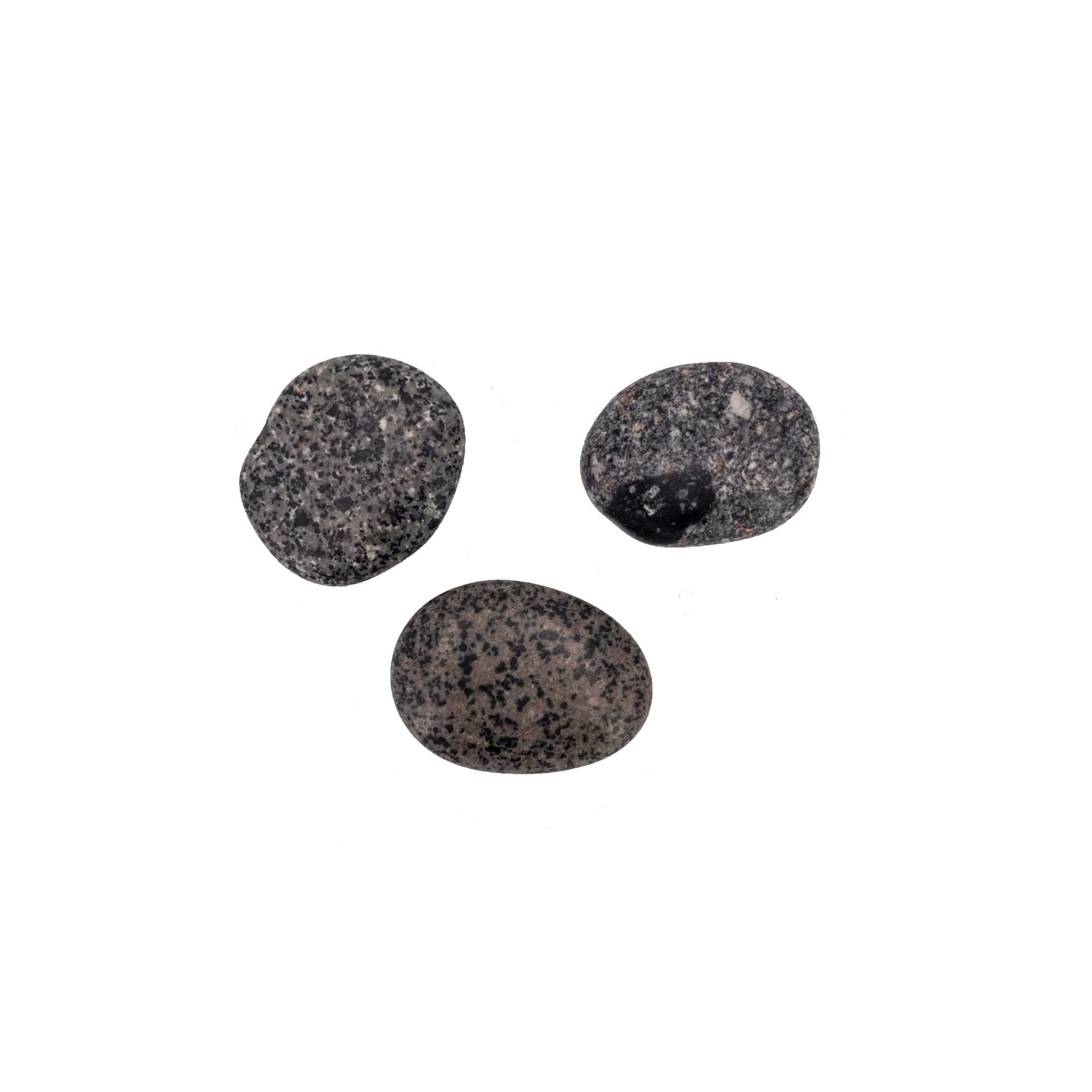Yooperlite Stone Magnet