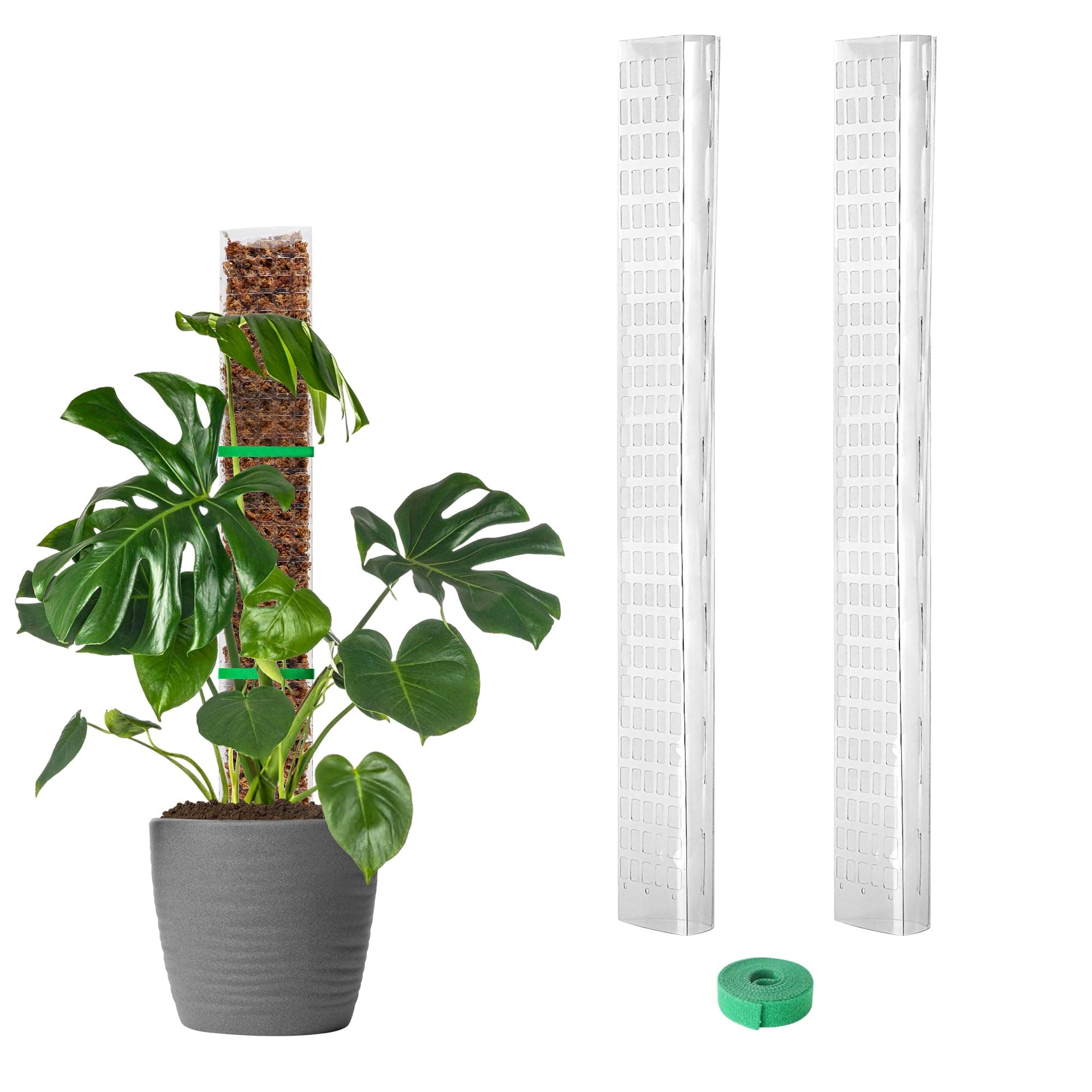 EOX 2 Pcs 24 Inch Plastic Moss Pole for Monstera, Large D Shaped Poles for Climbing Plants Work with Sphagnum Moss, 45 Inch Plant Stake Set of 2, Garden Ties